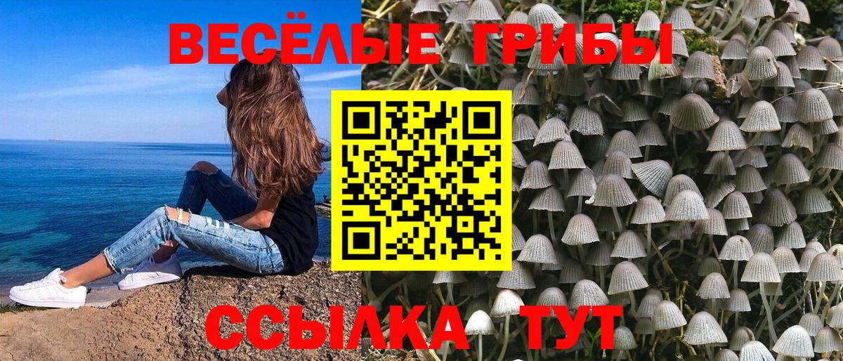 Псилоцибиновые грибы мухоморы  Вход с VPN  Вышний Волочёк  Псилоцибиновые грибы MAGIC MUSHROOMS 