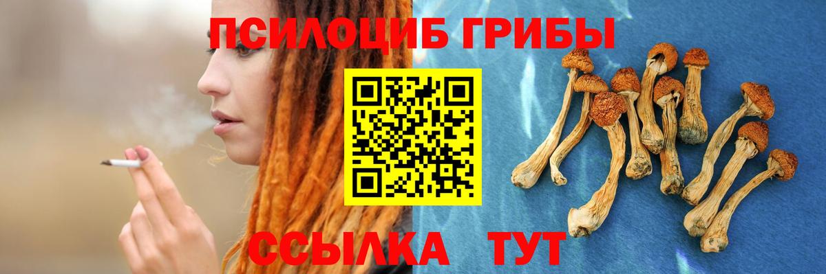 Галлюциногенные грибы Psilocybine cubensis Вышний Волочёк